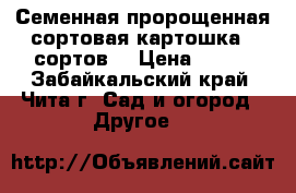 Семенная,пророщенная,сортовая картошка(5 сортов) › Цена ­ 500 - Забайкальский край, Чита г. Сад и огород » Другое   